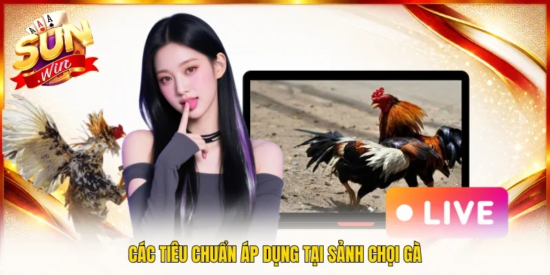 Các tiêu chuẩn áp dụng tại sảnh chọi gà