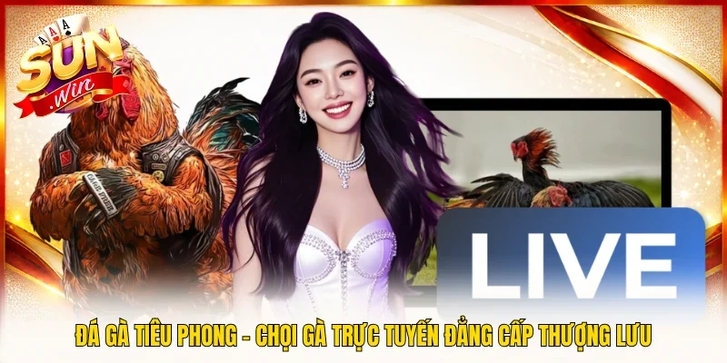 Đá Gà Tiêu Phong – Chọi Gà Trực Tuyến Đẳng Cấp Thượng Lưu