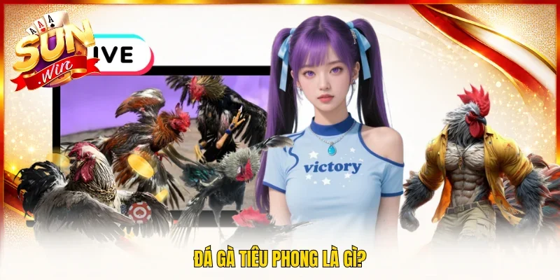 Đá gà tiêu phong là gì?