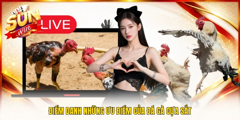 Điểm danh những ưu điểm của đá gà cựa sắt