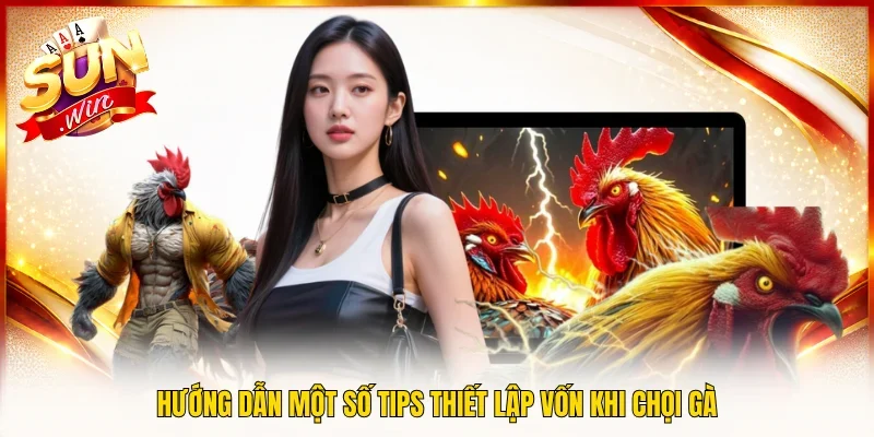 Hướng dẫn một số tips thiết lập vốn khi chọi gà