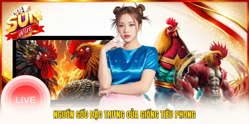 Nguồn gốc đặc trưng của giống tiêu phong