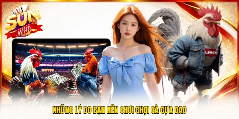 Những lý do bạn nên chơi chọi gà cựa dao
